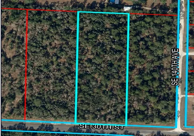 Land for sale at SE 30th Street, MORRISTON, FL 32668 | MLS# OM733698