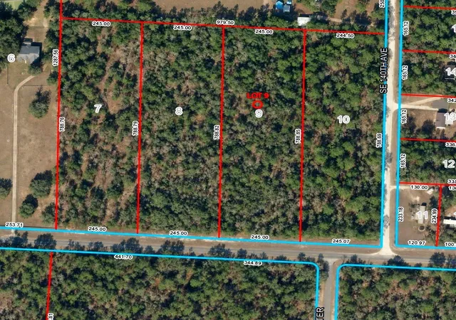 Photo 2 of Land for sale at Se 30th Street, Morriston, FL 32668 | MLS# OM733698 | Listing updated on 2026-10-09