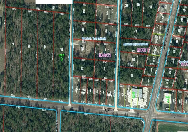 Photo 4 of Land for sale at SE 30th Street, Morriston, FL 32668 | MLS# OM733698 | Listing updated on 2026-10-09