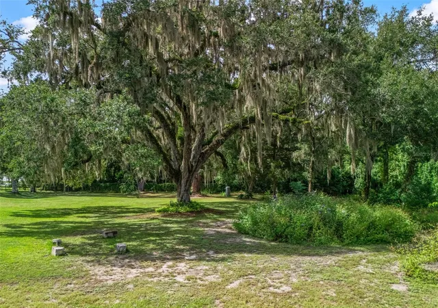 Photo 3 of Land for sale at 12530 SE 142nd Avenue, Ocklawaha, FL 32179 | MLS# G5118831 | Listing updated on 2026-10-09