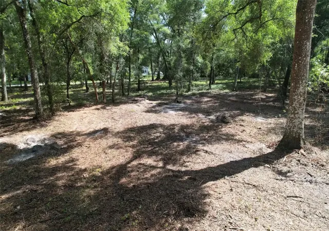 Photo 3 of Land for sale at 00 Se 30th Avenue, Summerfield, FL 34491 | MLS# O6448432 | Listing updated on 2026-10-09