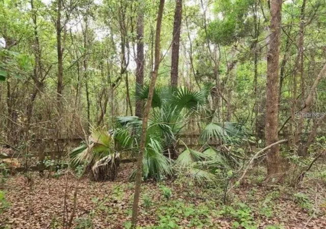 Photo 1 of Land for sale at 15363 Se 156th Place Rd, Weirsdale, FL 32195 | MLS# G5118833 | Listing updated on 2026-10-09