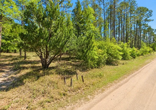 Photo 4 of Land for sale at 2313 Grove St, Bunnell, FL 32110 | MLS# FC322007 | Listing updated on 2026-10-09