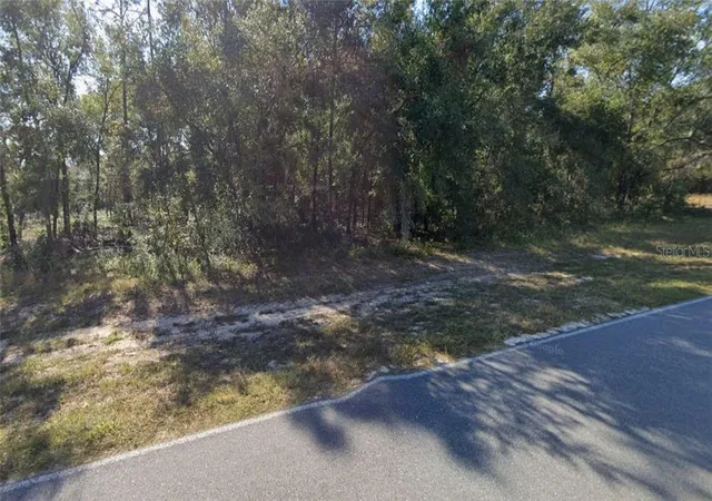 Land for sale at 5540 County Rd 352, Keystone Heights, FL 32656 | MLS# CC858457