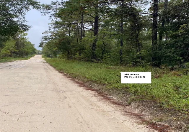 Photo 1 of Land for sale at Tbd Sw 27th Ln, Ocala, FL 34473 | MLS# O6448496 | Listing updated on 2026-10-09