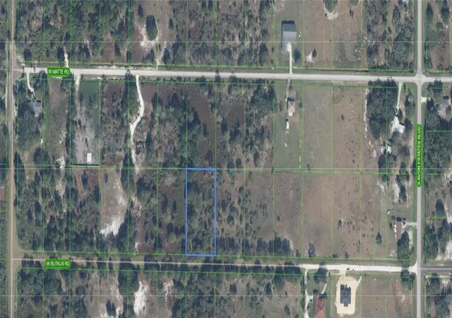 Land for sale at 2842 W Butkus Rd, AVON PARK, FL 33825 | MLS# O6448499