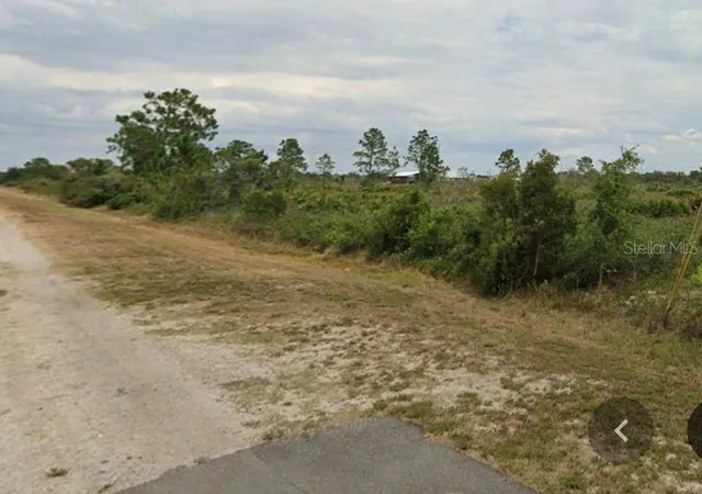 Photo 3 of Land for sale at 2842 W Butkus Rd, Avon Park, FL 33825 | MLS# O6448499 | Listing updated on 2026-10-09