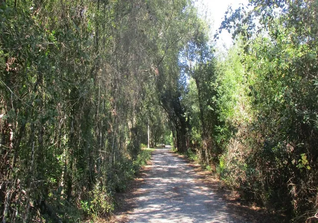 Land for sale at 9687 Sunderson Rd, ORLANDO, FL 32825 | MLS# O6448527