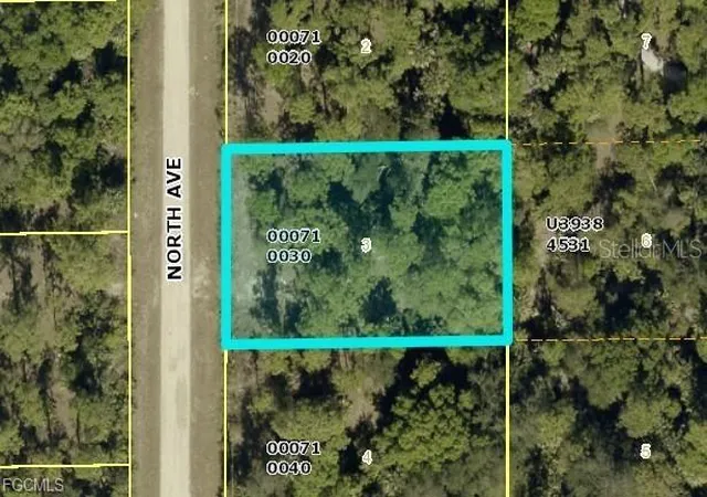 Land for sale at 716 North Ave, LEHIGH ACRES, FL 33972 | MLS# TB8556412