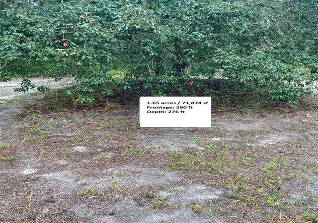 Photo 4 of Land for sale at Tbd SW 173 Place, Ocala, FL 34473 | MLS# O6448562 | Listing updated on 2026-10-09