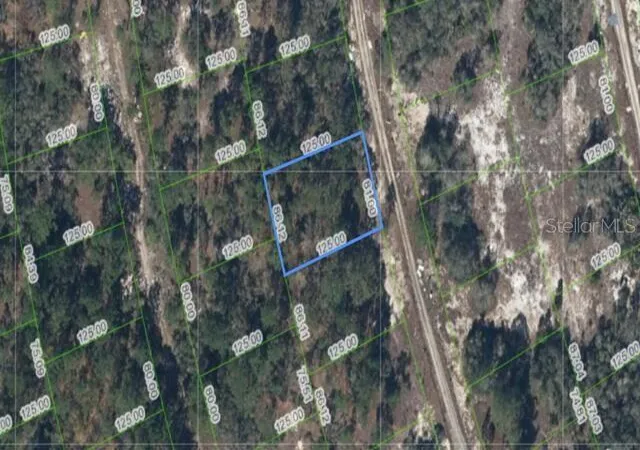 Photo 2 of Land for sale at 214 Is Mist Dr, Lake Placid, FL 33852 | MLS# O6448587 | Listing updated on 2026-10-09