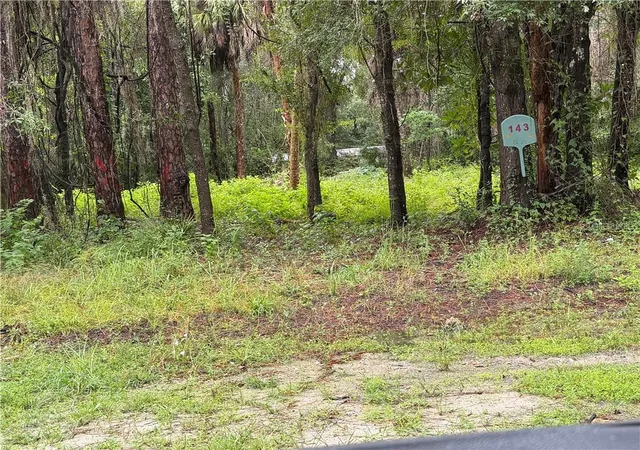 Photo 1 of Land for sale at 143 N Schoolcraft Dr, Inglis, FL 34449 | MLS# CC858467 | Listing updated on 2026-10-09
