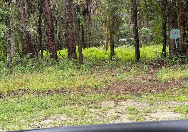 Photo 2 of Land for sale at 143 N Schoolcraft Dr, Inglis, FL 34449 | MLS# CC858467 | Listing updated on 2026-10-09