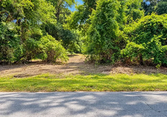 Photo 2 of Land for sale at 26714 Bloomfield Ave, Yalaha, FL 34797 | MLS# G5118864 | Listing updated on 2026-10-09