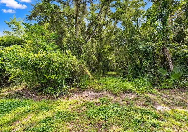 Photo 9 of Land for sale at 26714 Bloomfield Ave, YALAHA, FL 34797 | MLS# G5118864 | Listing updated on 2026-10-09