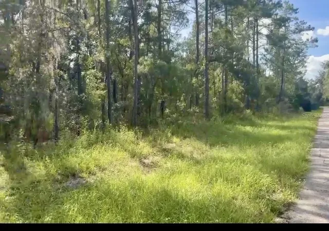 Photo 1 of Land for sale at Sw 43 Circle, Ocala, FL 34473 | MLS# TB8556539 | Listing updated on 2026-10-09