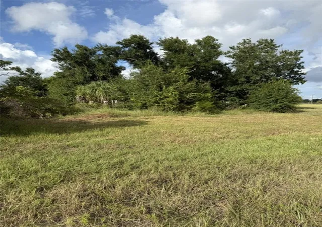 Photo 3 of Land for sale at 16 Polar Ct, Placida, FL 33946 | MLS# TB8556552 | Listing updated on 2026-10-13