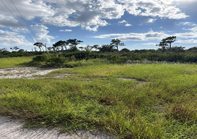 Photo 3 of Land for sale at 4 Idle Ct, Placida, FL 33946 | MLS# TB8556557 | Listing updated on 2026-10-13