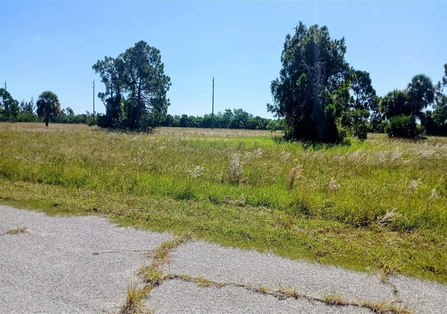 Photo 2 of Land for sale at 13732 Walleye Way, Placida, FL 33946 | MLS# O6448661 | Listing updated on 2026-10-10