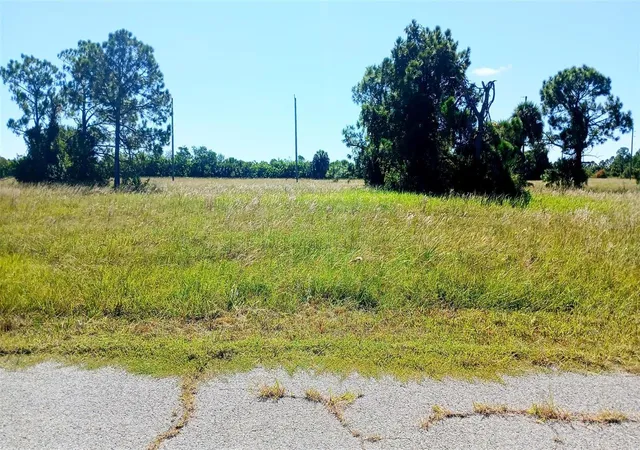 Photo 3 of Land for sale at 13732 Walleye Way, Placida, FL 33946 | MLS# O6448661 | Listing updated on 2026-10-10