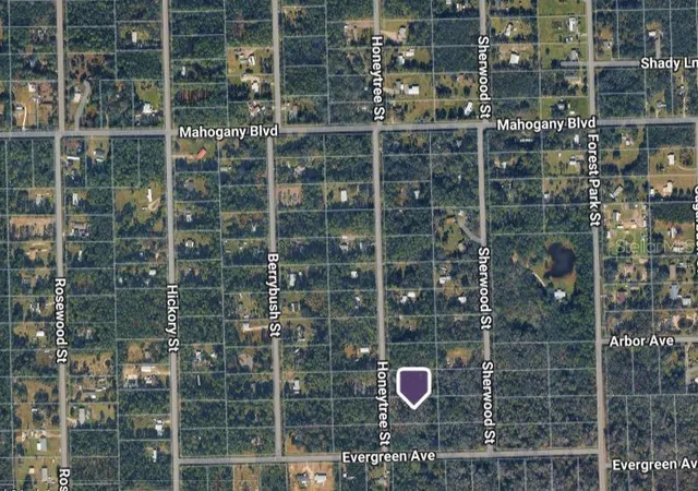 Photo 2 of Land for sale at 1823 Honeytree St, Bunnell, FL 32110 | MLS# A4709051 | Listing updated on 2026-10-13