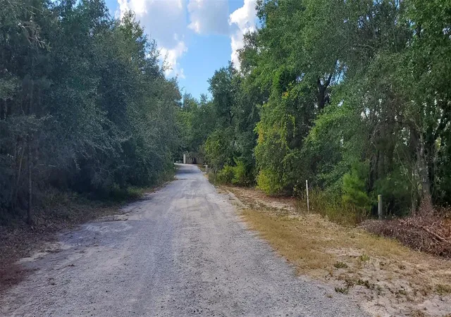 Photo 3 of Land for sale at 6 Cove Crk Ln, Inlet Beach, FL 32461 | MLS# TB8556595 | Listing updated on 2026-10-10