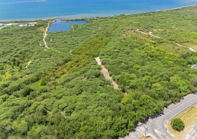 Photo 3 of Land for sale at Lot C Rd, Ponce, PR 00780 | MLS# PR9124863 | Listing updated on 2026-10-10