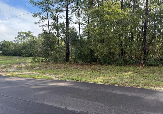 Photo 1 of Land for sale at Tbd Sw 139th Lane Rd #12, Ocala, FL 34473 | MLS# OM733761 | Listing updated on 2026-10-16