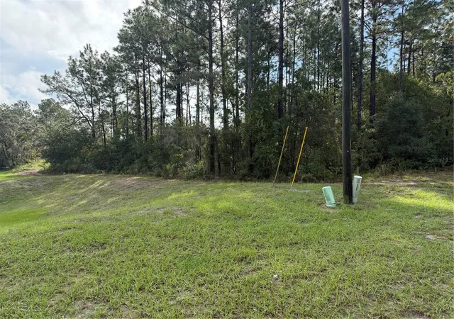 Photo 3 of Land for sale at Tbd Sw 139th Lane Rd #12, Ocala, FL 34473 | MLS# OM733761 | Listing updated on 2026-10-16