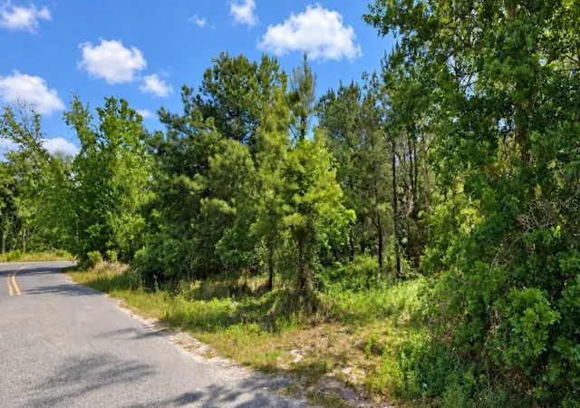 Photo 1 of Land for sale at 207 Oak Ln Run, Ocala, FL 34472 | MLS# OM733764 | Listing updated on 2026-10-14