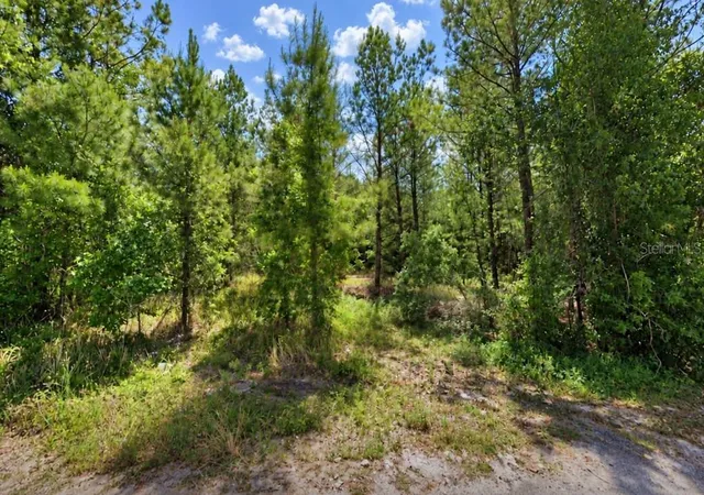 Photo 2 of Land for sale at 207 Oak Ln Run, Ocala, FL 34472 | MLS# OM733764 | Listing updated on 2026-10-14