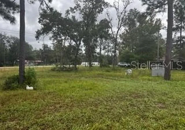 Photo 10 of Single family home for sale at 7492 Monongahela Ave, KEYSTONE HEIGHTS, FL 32656 | MLS# A4709106 | Listing updated on 2026-10-10