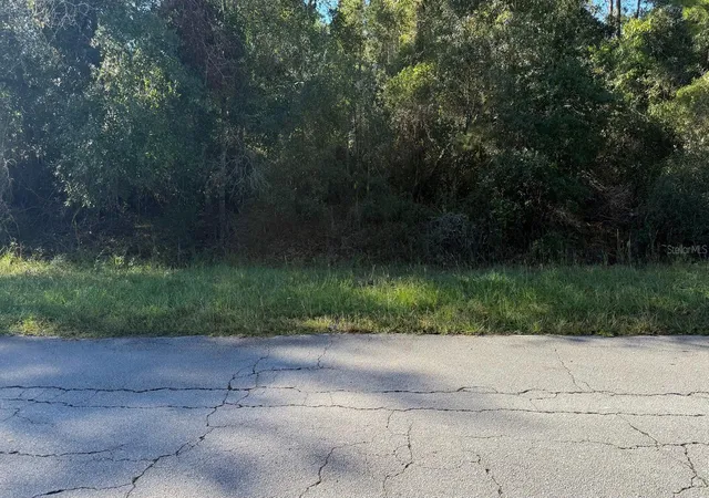 Photo 3 of Land for sale at 109 S Georgetown Point Rd, Georgetown, FL 32139 | MLS# S5159253 | Listing updated on 2026-10-17