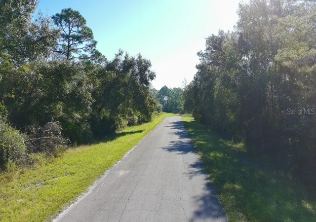 Photo 4 of Land for sale at 109 S Georgetown Point Rd, Georgetown, FL 32139 | MLS# S5159253 | Listing updated on 2026-10-17