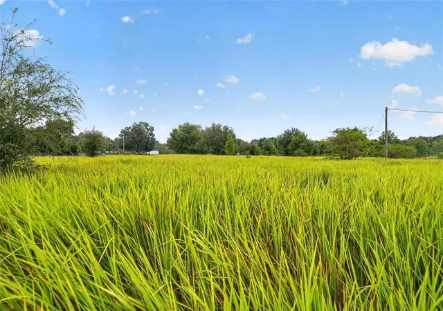 Photo 3 of Land for sale at 14851 SW 16th Avenue, Ocala, FL 34473 | MLS# G5118895 | Listing updated on 2026-10-16