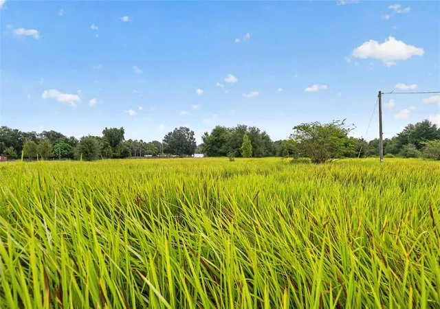 Photo 4 of Land for sale at 14851 SW 16th Avenue, Ocala, FL 34473 | MLS# G5118895 | Listing updated on 2026-10-16