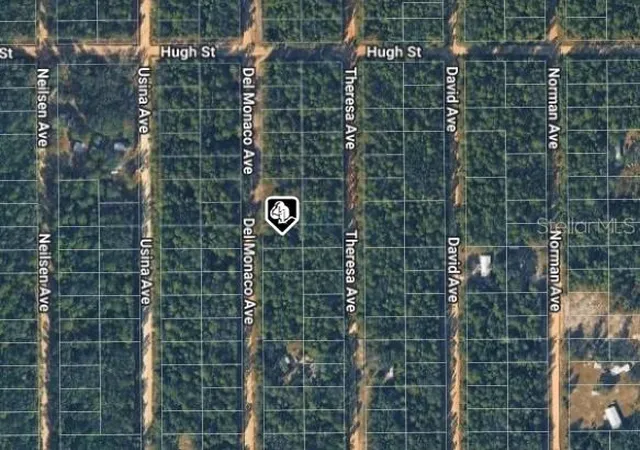 Photo 3 of Land for sale at 920 Del Monaco Ave, Interlachen, FL 32148 | MLS# D6149120 | Listing updated on 2026-10-10