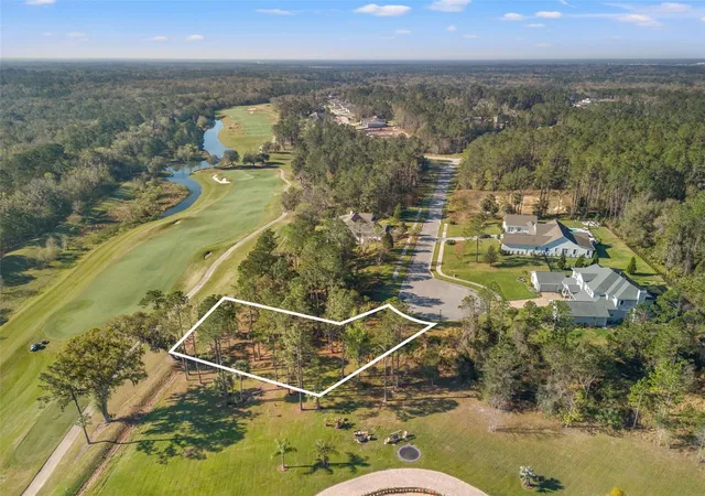 Land for sale at 20132 English Walnut Pl, BROOKSVILLE, FL 34601 | MLS# TB8556781