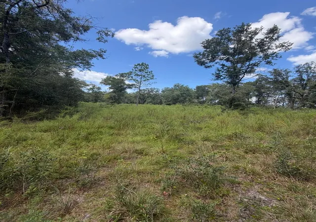 Photo 1 of Land for sale at Foxwood, Fort White, FL 32038 | MLS# OM733786 | Listing updated on 2026-10-14
