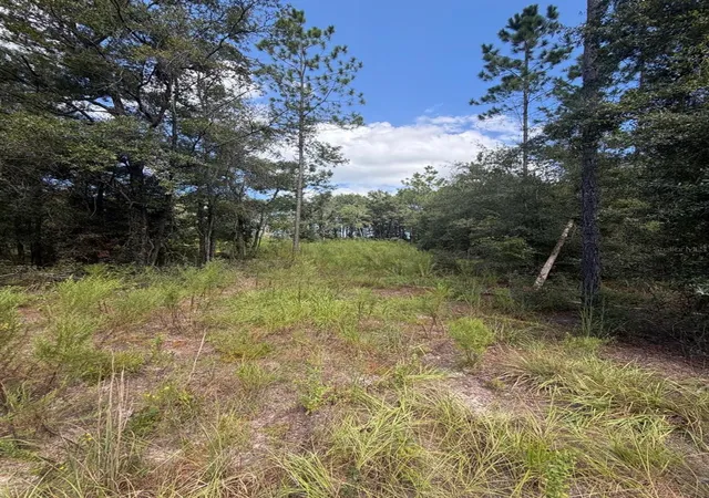 Photo 2 of Land for sale at Foxwood, Fort White, FL 32038 | MLS# OM733786 | Listing updated on 2026-10-14