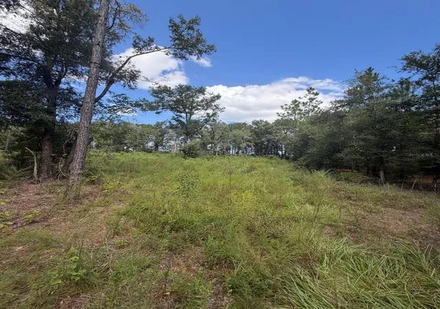 Photo 3 of Land for sale at Foxwood, Fort White, FL 32038 | MLS# OM733786 | Listing updated on 2026-10-14