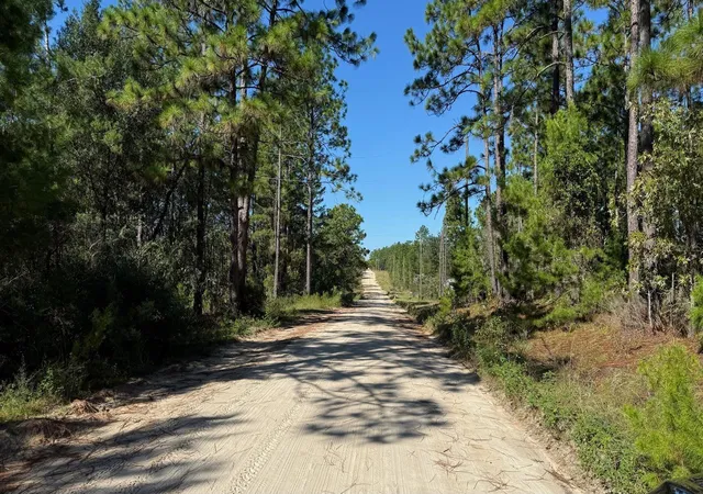 Photo 2 of Land for sale at 113 Rome Ave, Interlachen, FL 32148 | MLS# S5159262 | Listing updated on 2026-10-17
