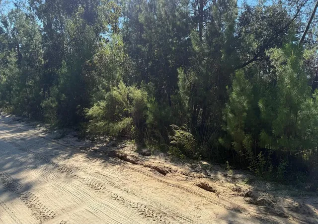 Photo 3 of Land for sale at 113 Rome Ave, Interlachen, FL 32148 | MLS# S5159262 | Listing updated on 2026-10-17