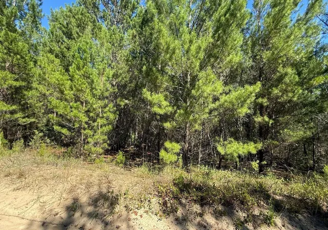 Photo 3 of Land for sale at 113 Rome Ave, Interlachen, FL 32148 | MLS# S5159262 | Listing updated on 2026-10-17
