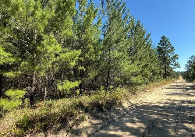 Photo 4 of Land for sale at 113 Rome Ave, Interlachen, FL 32148 | MLS# S5159262 | Listing updated on 2026-10-17