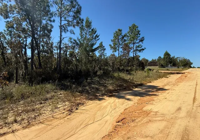 Photo 3 of Land for sale at 1403 Drew Ln, Interlachen, FL 32148 | MLS# S5159268 | Listing updated on 2026-10-16