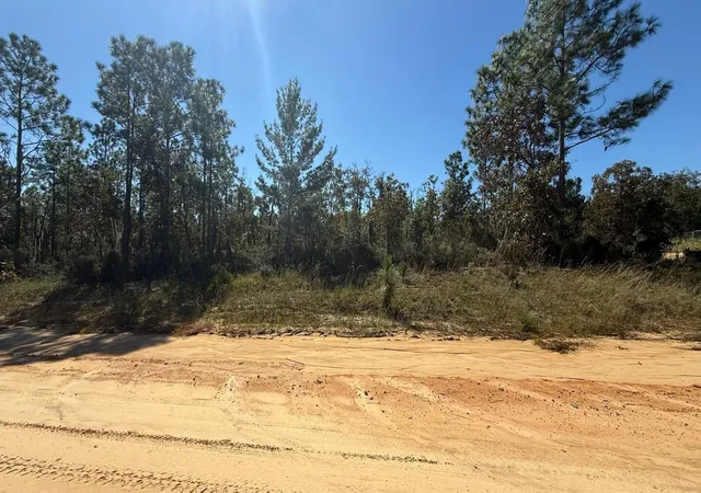 Photo 3 of Land for sale at 1403 Drew Ln, Interlachen, FL 32148 | MLS# S5159268 | Listing updated on 2026-10-16