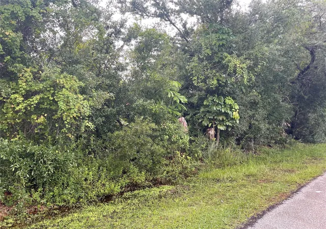 Land for sale at 11327 Baggot Ave, ENGLEWOOD, FL 34224 | MLS# D6149123