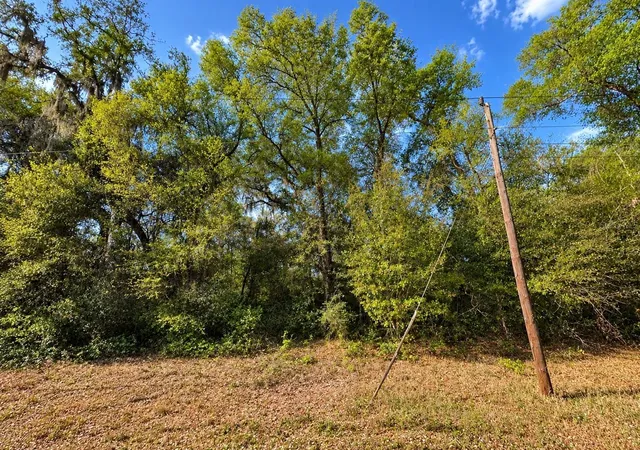 Photo 3 of Land for sale at 147 Fishermans Dr, Interlachen, FL 32148 | MLS# OM733794 | Listing updated on 2026-10-10