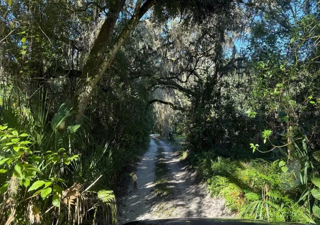 Photo 3 of Land for sale at 107 1st Street, Crescent City, FL 32112 | MLS# S5159269 | Listing updated on 2026-10-17